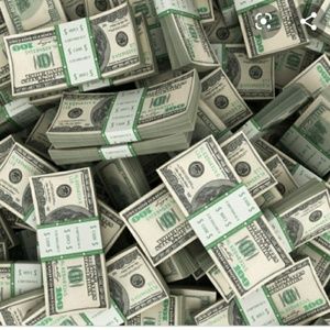 Meet your Posher, Danni